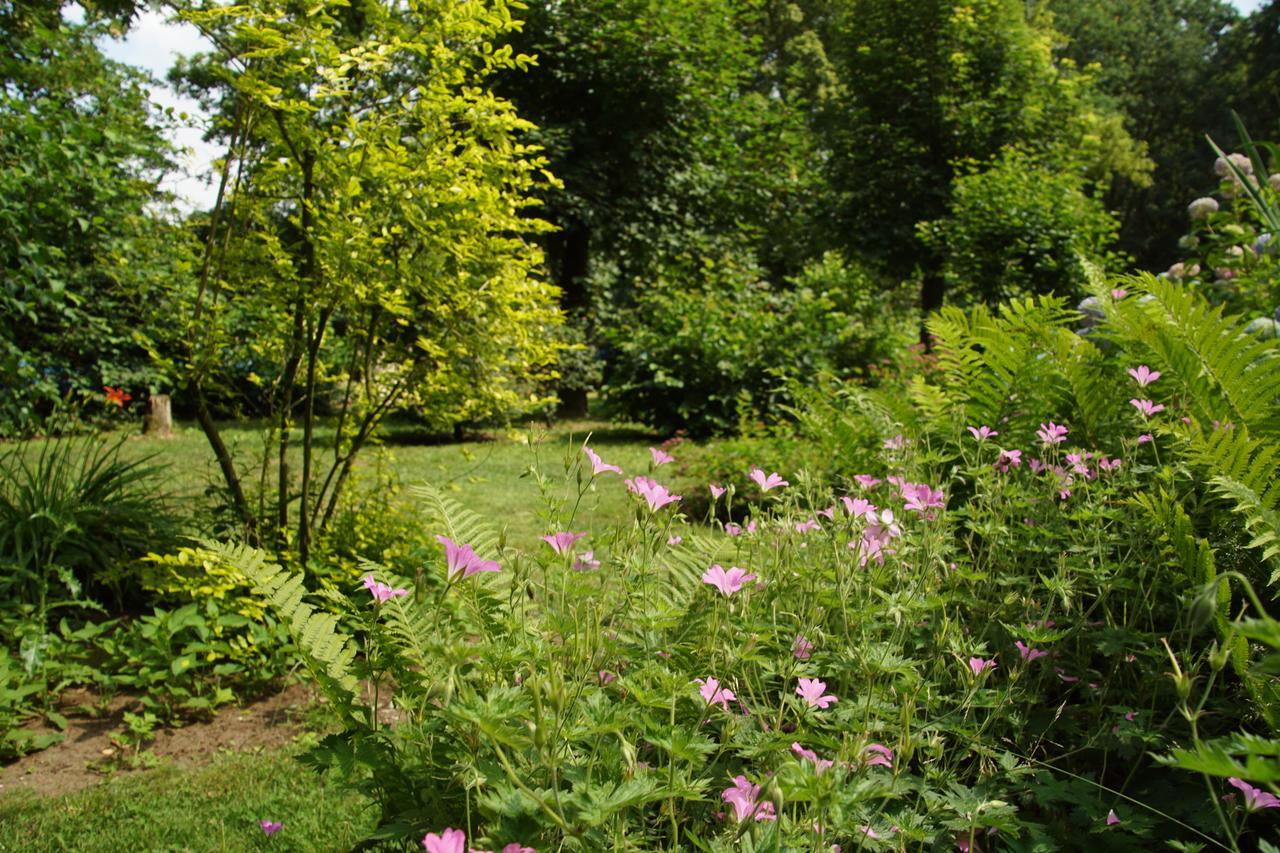 Bed & Breakfast Aan De Beek Arcen Exterior photo