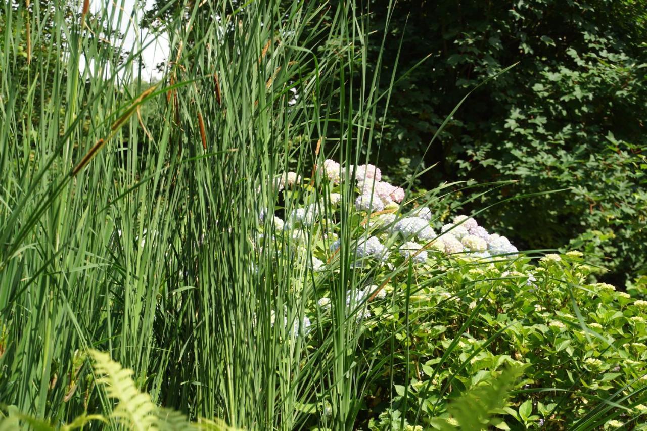 Bed & Breakfast Aan De Beek Arcen Exterior photo